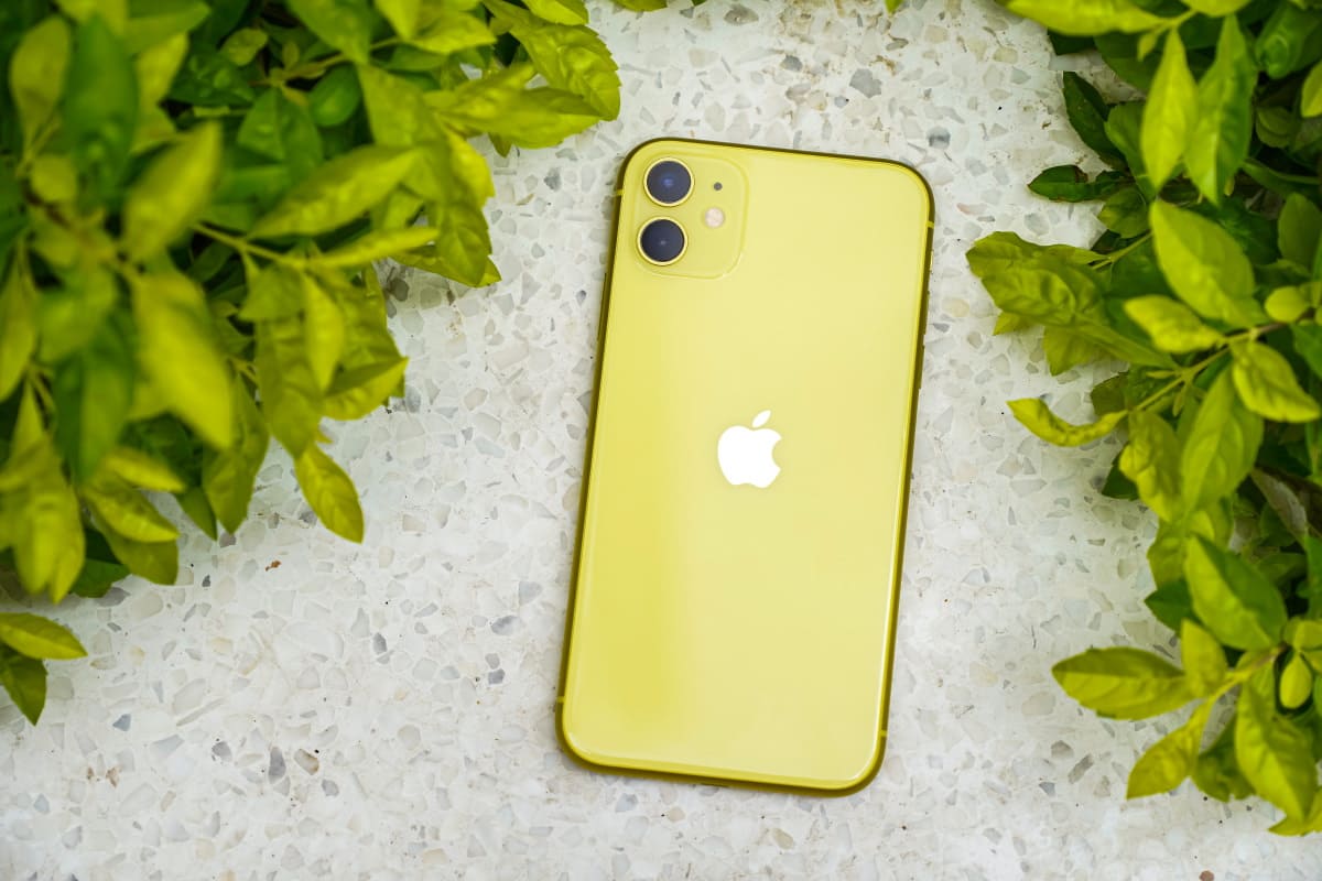 iPhone 11 jaune sur fond de plante verte : reconditionné, il est à 100€ avec un forfait de CDiscount Mobile