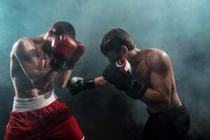 2 boxeurs combattent, comme Free et Bouygues Telecom avec leurs Box "Pure Fibre" et "Pop S"