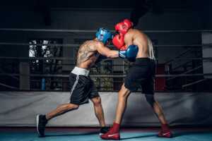 2 boxers sur le ring : Lyca Mobile et Prixtel se battent pour la 1ère place !