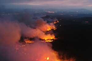 Un incendie ravage une forêt en pleine nuit