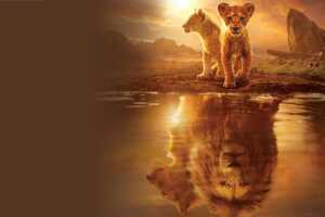 Vous avez aimé Le Roi Lion ? Vous allez adorer ce film qui arrive aujourd'hui sur Disney+