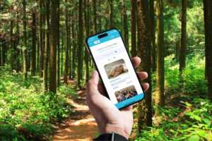 Homme dans la forêt tient son smartphone dans la main avec le forfait source, le 1er forfait solidaire et engagé pour la planète, sur une idée de Bouygues Telecom