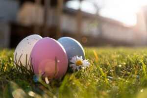 3 œufs de Pâques en chocolat dans le jardin, pour 3 forfaits mobile vraiment top !