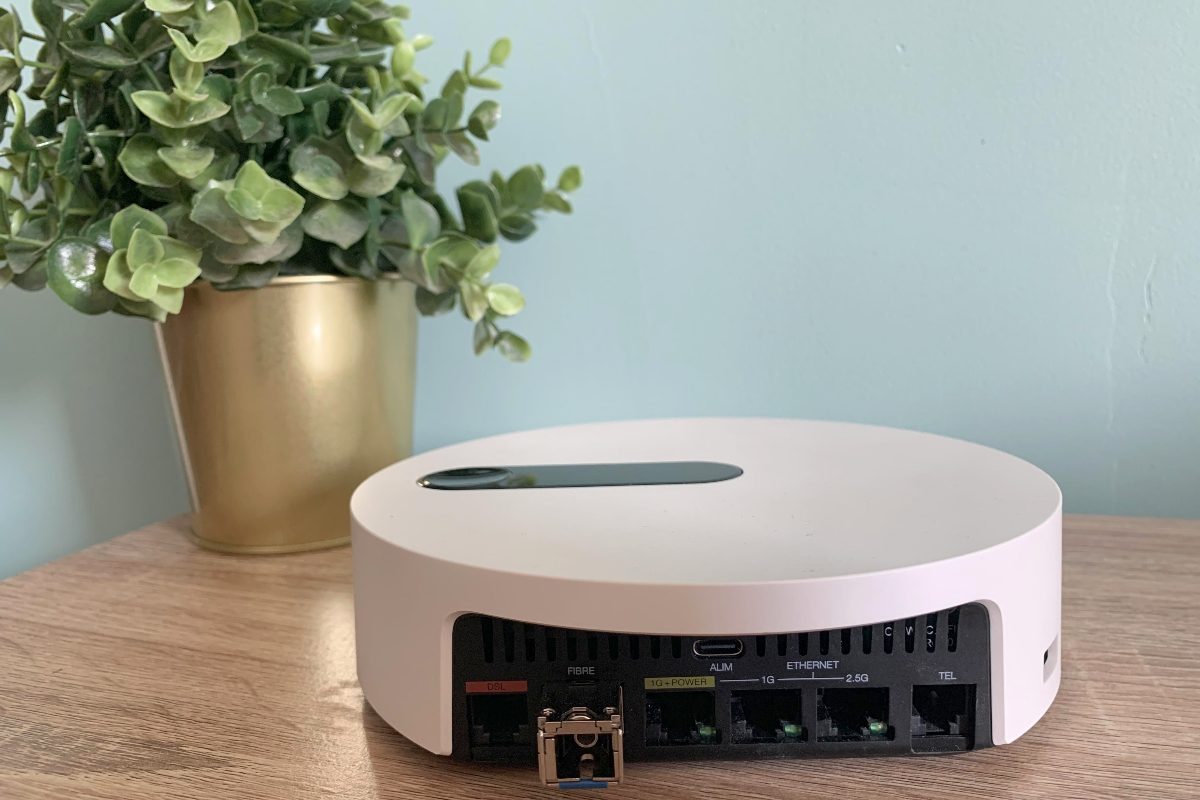 Serveur de la Freebox Pop S sur une table avec plante verte
