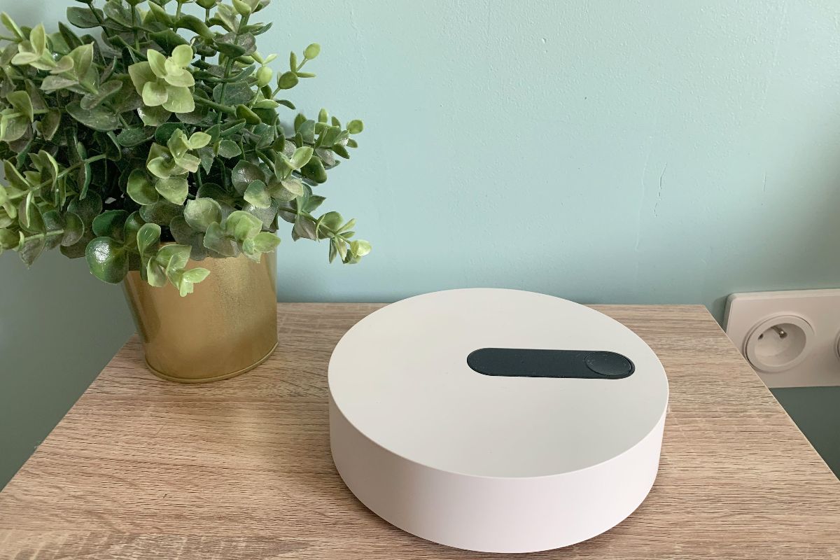 Serveur Freebox Pop 2 sur table et plante verte, avec 5 Gb/s et Wi-Fi 7