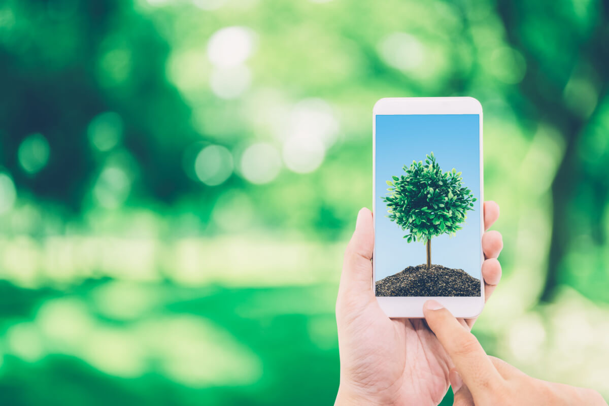 Smartphone sur fond de nature avec un forfait doux pour la planète de Prixtel