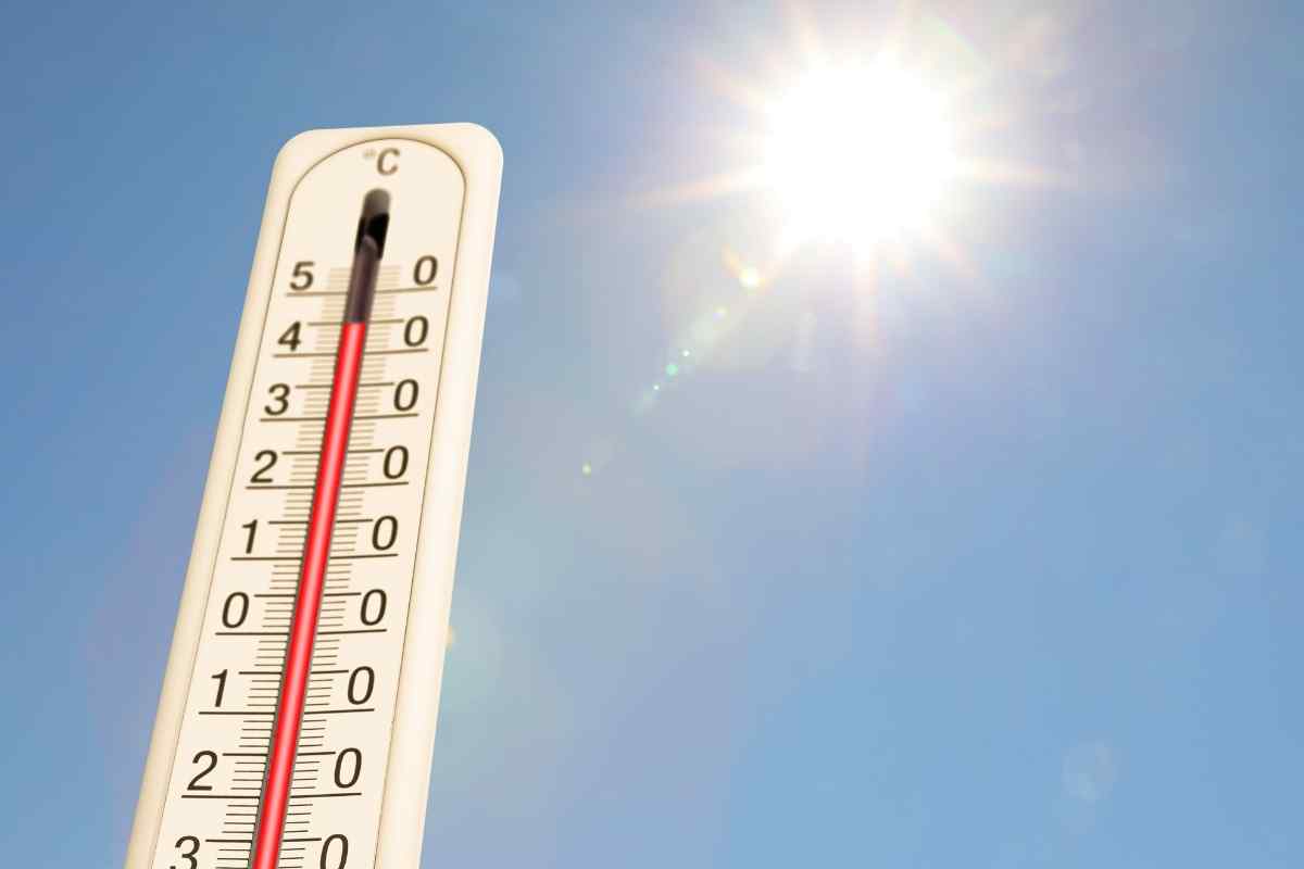 canicule smartphone