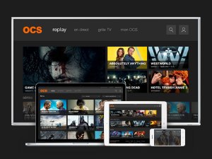 Les meilleures séries du moment en SVOD et où les regarder : OCS, Canal+, SFR Play, Netflix, Amazon