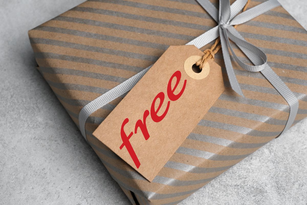Free est le seul à vous offrir un forfait mobile gratuit avec ses freebox