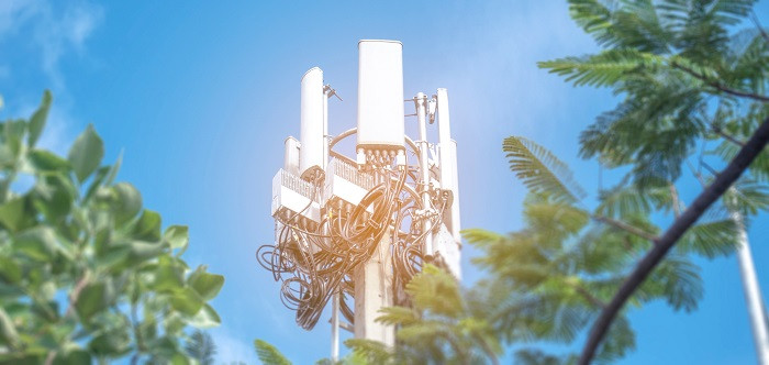 Pour les anti-5g, le nouveau réseau mobile représente une menace pour l'environnement