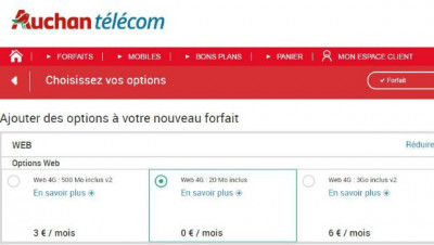 Auchan Telecom : les options data
