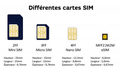 Il existe différents formats de carte SIM dont la eSIM
