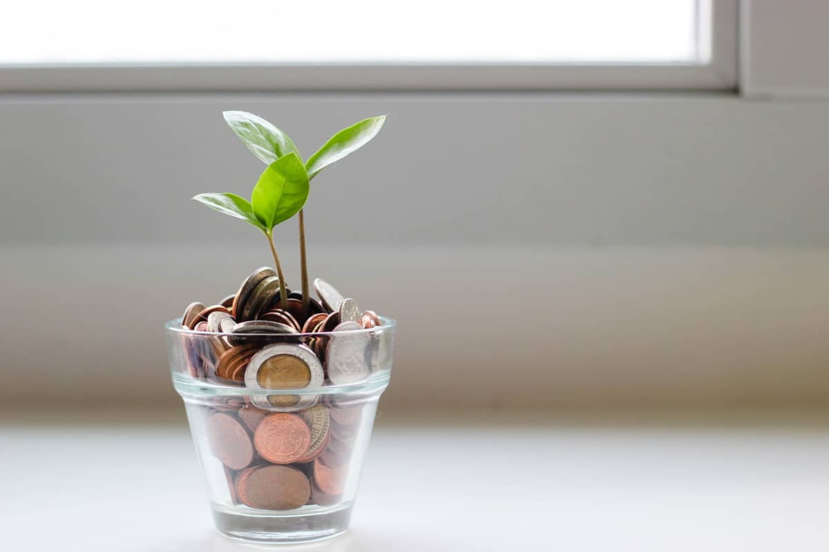 Plante pousse dans pot avec pièces de monnaie, pour symboliser forfaits mobile budget friendly