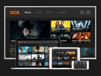 Les séries HBO sur OCS