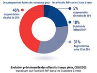 Observatoire RIP 2017