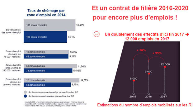 La formation sur la filière numérique des RIP