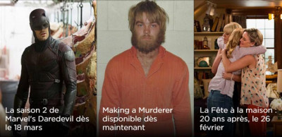 prévisions abonnés SVOD