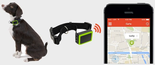 Collier connecté weenect pets pour géolocaliser son chien via un smartphone